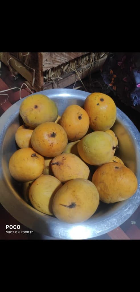 Can Mangoes Cure Acne? The Truth About Skin Health